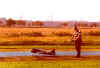 Zero_5.jpg (24888 Byte)