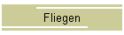 Fliegen